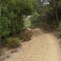 DSC04006