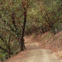DSC04018