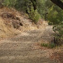 DSC04019