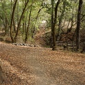 DSC04020
