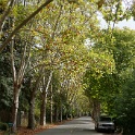 DSC04038