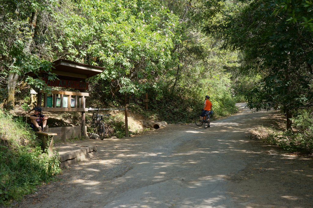 DSC09017
