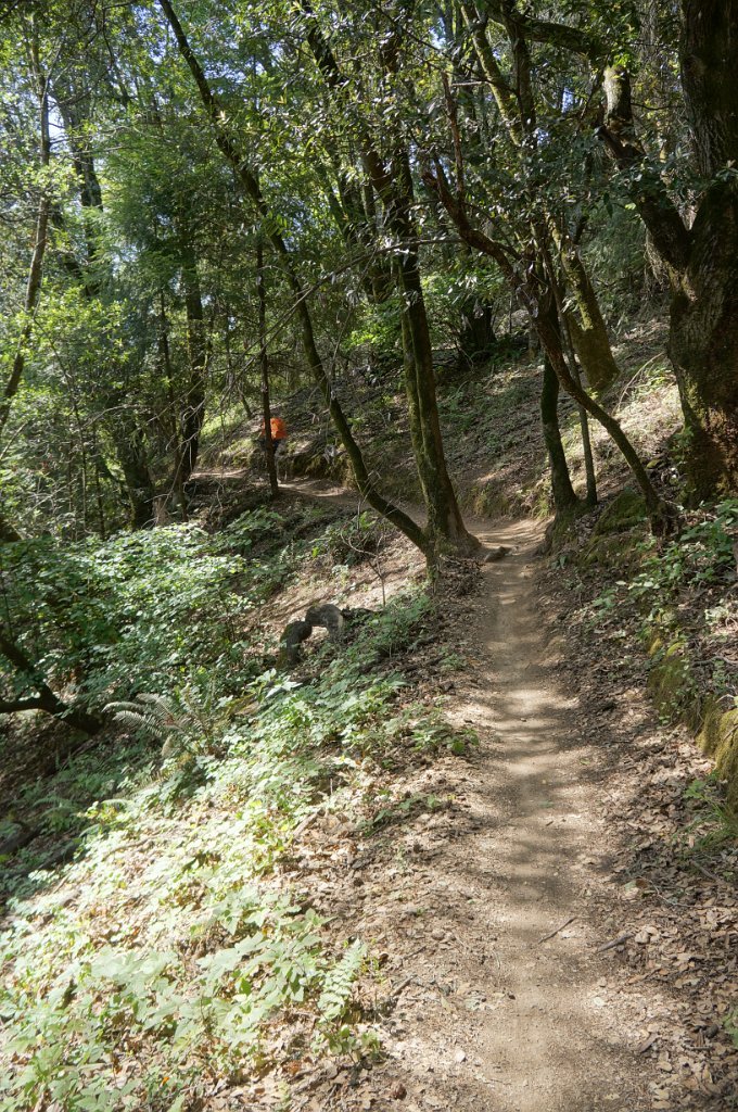 DSC09033