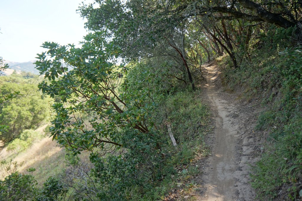 DSC09041