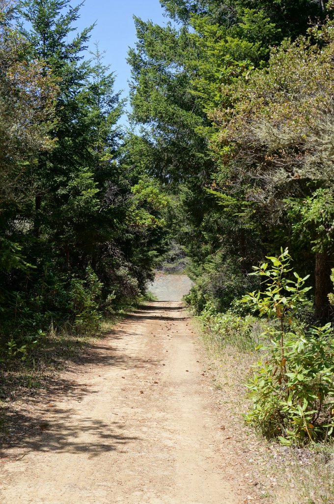 DSC09132