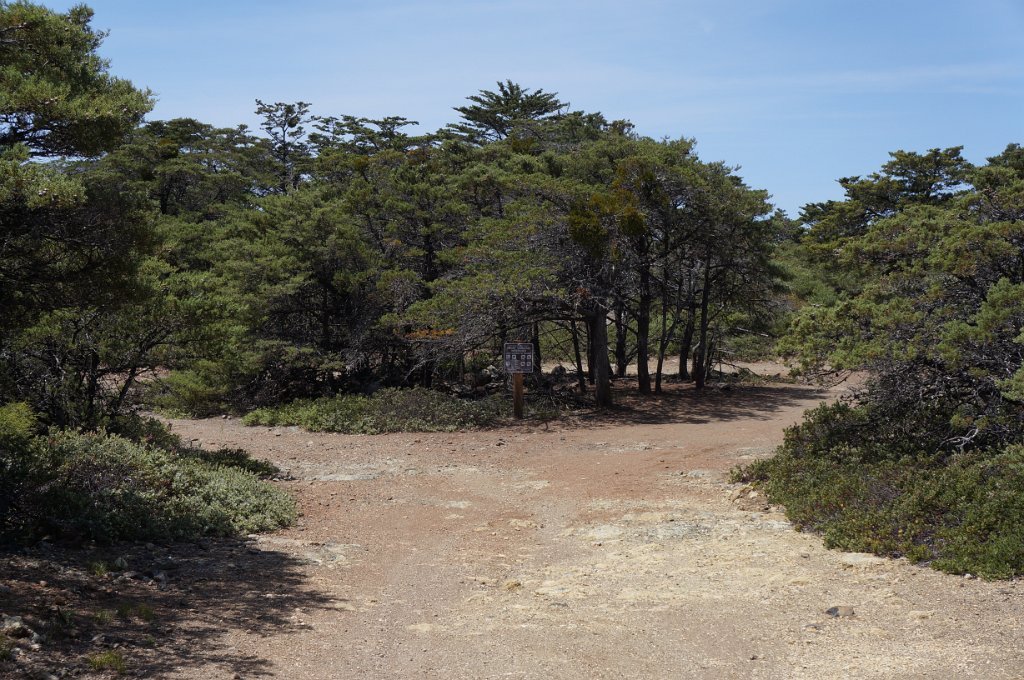 DSC09136