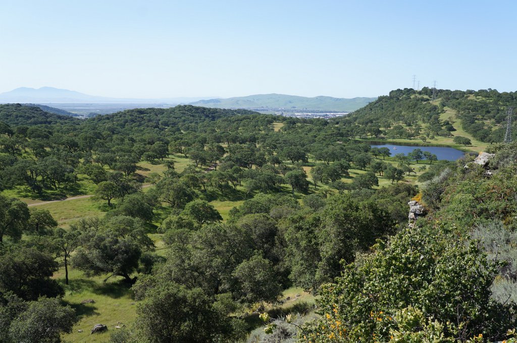 DSC01658