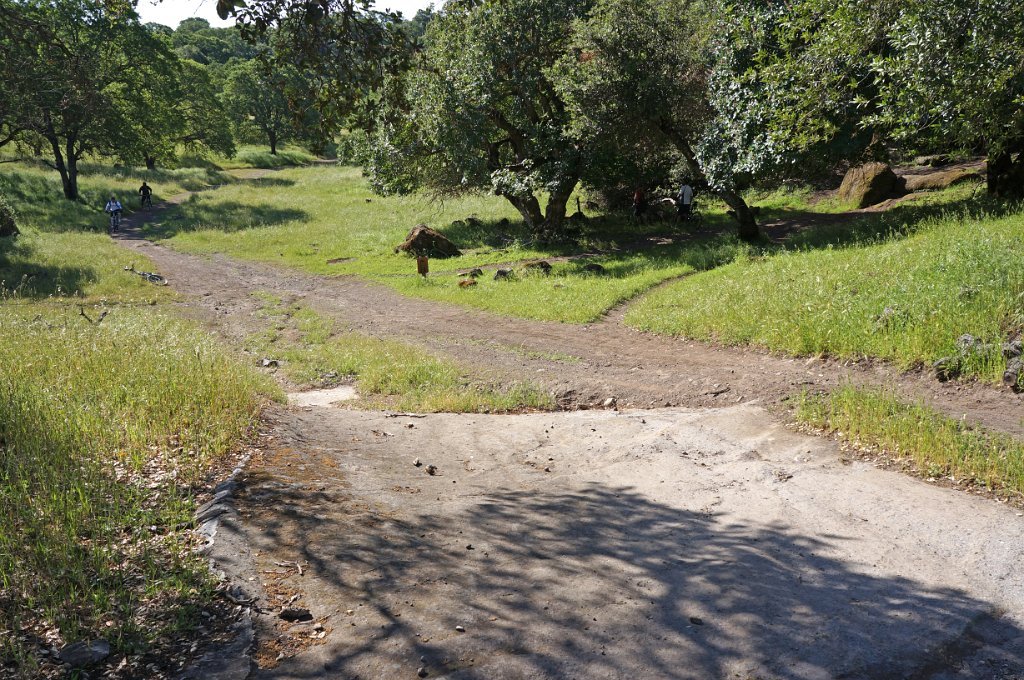 DSC01630