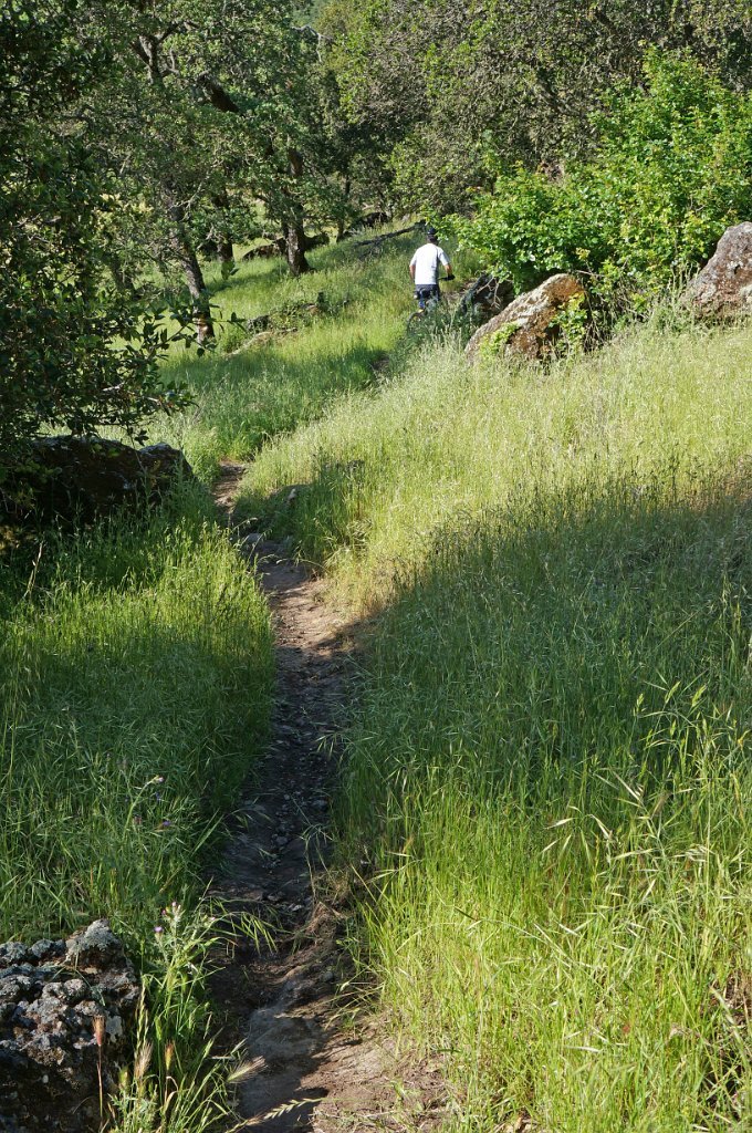 DSC01636