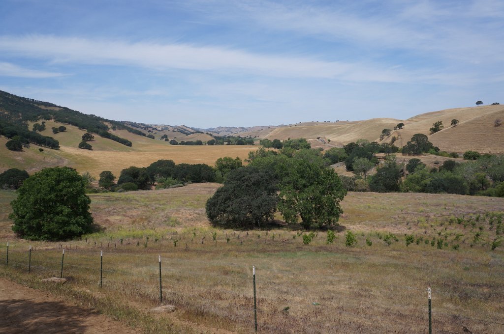 DSC08859