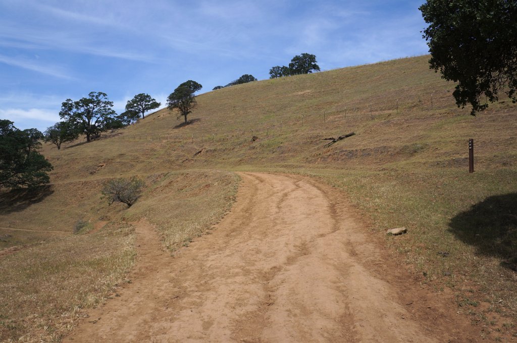 DSC08862