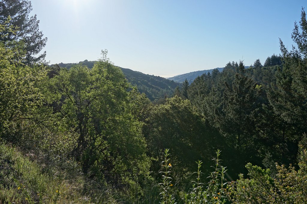DSC02205