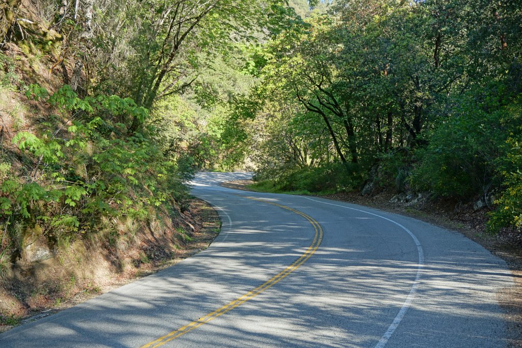 DSC02209