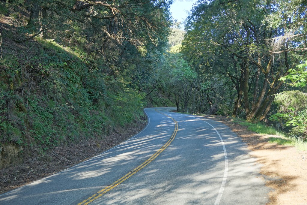 DSC02211