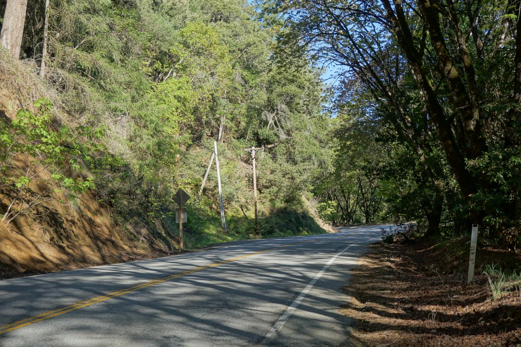 DSC02213