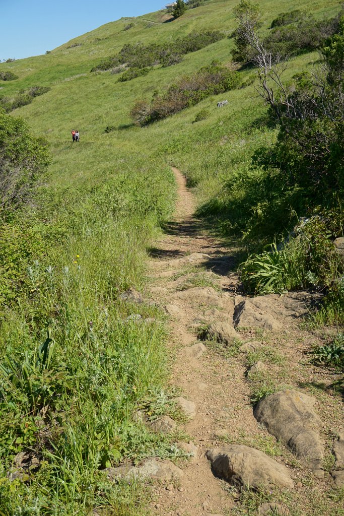 DSC08270