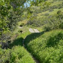 DSC08280