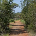 DSC08518