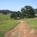 DSC08538