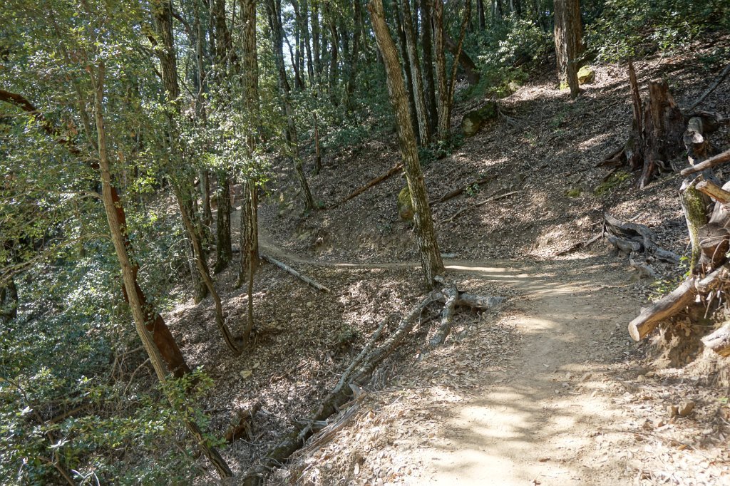 DSC02900