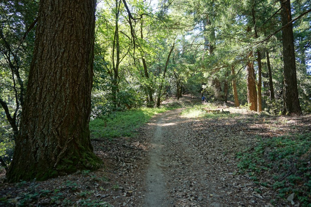 DSC02915