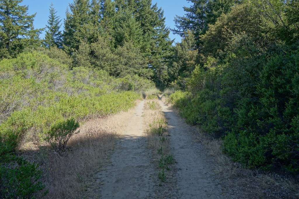 DSC02917
