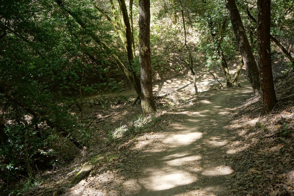 DSC02958