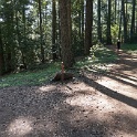 DSC02895