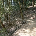 DSC02900