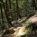DSC02904