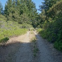 DSC02917