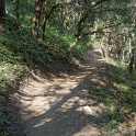 DSC02936