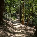 DSC02952