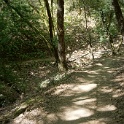 DSC02958