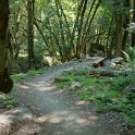 DSC02970