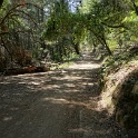 DSC02981