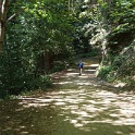 DSC02984