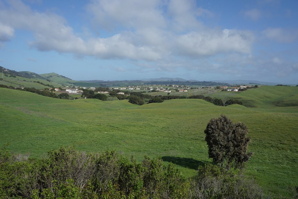 DSC01780