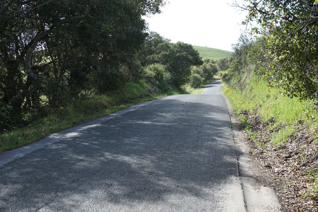 DSC01787