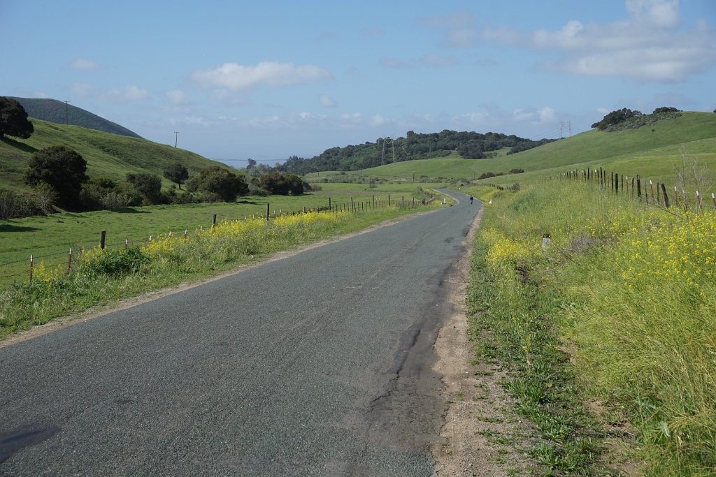 DSC01799