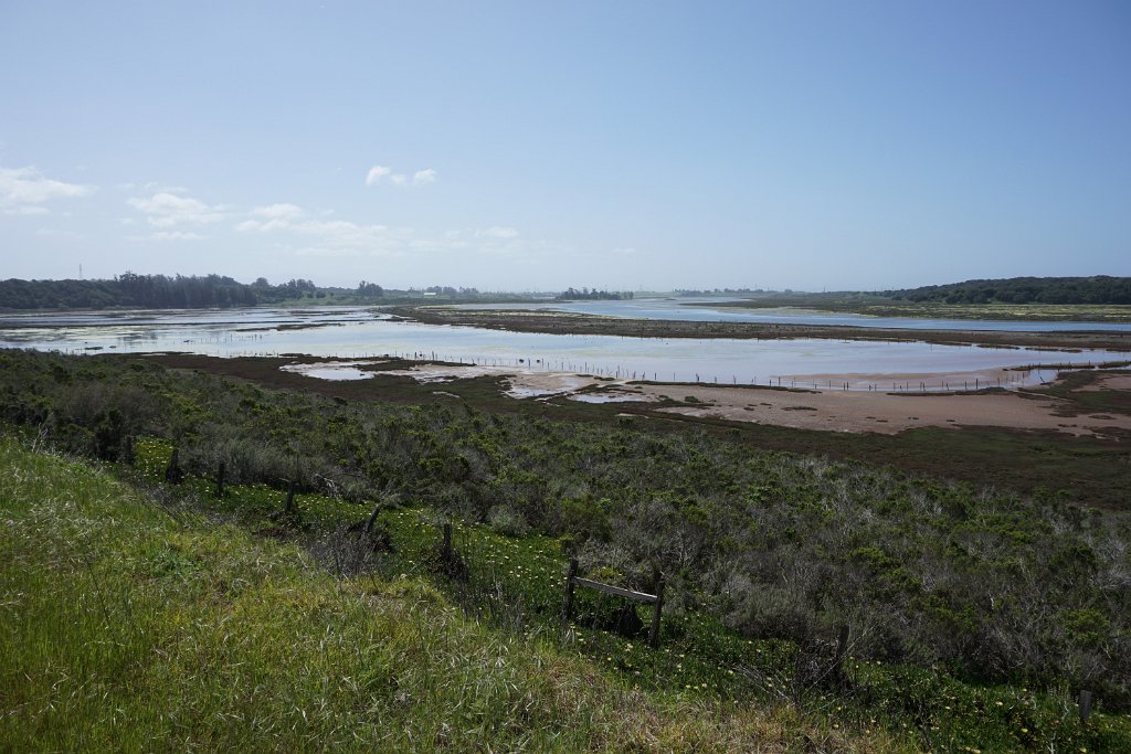 DSC01845