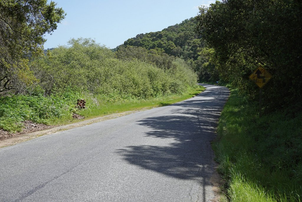 DSC01856