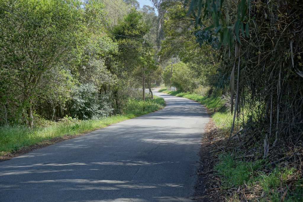 DSC01865