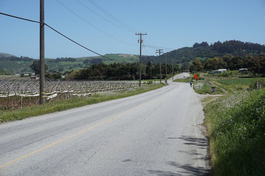 DSC01890