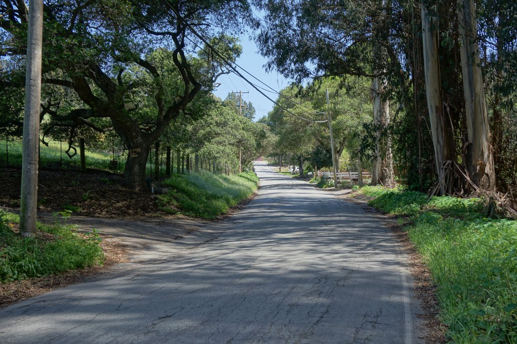 DSC01902