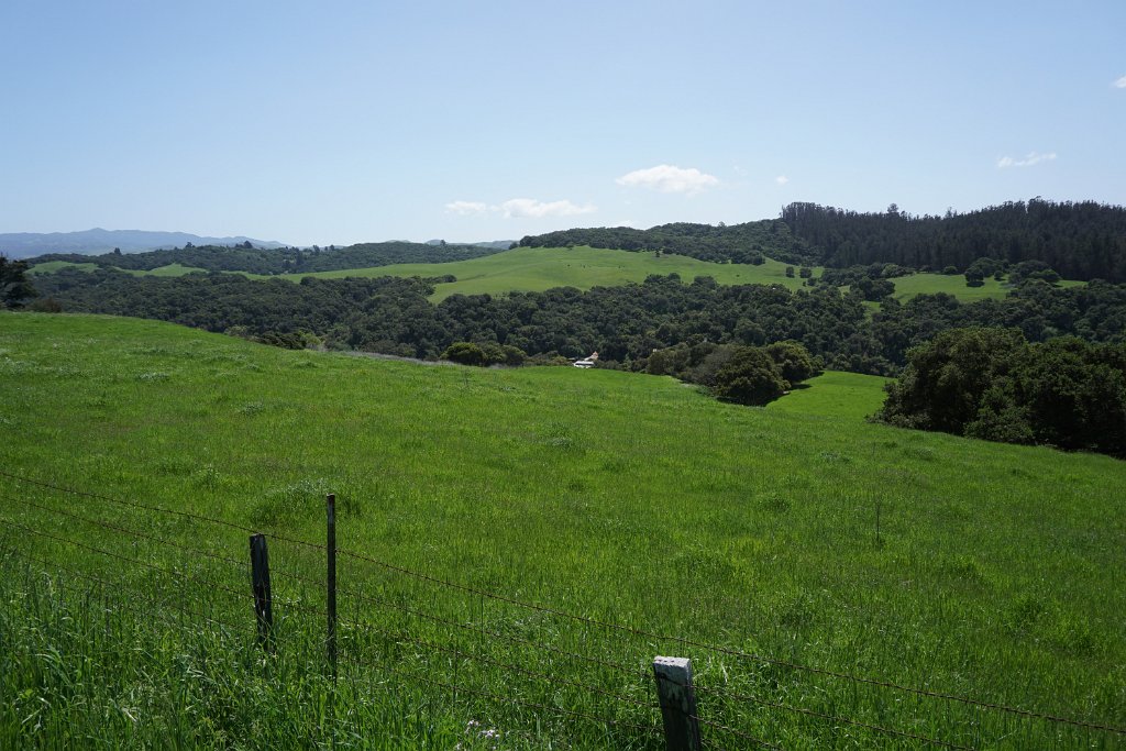 DSC01919