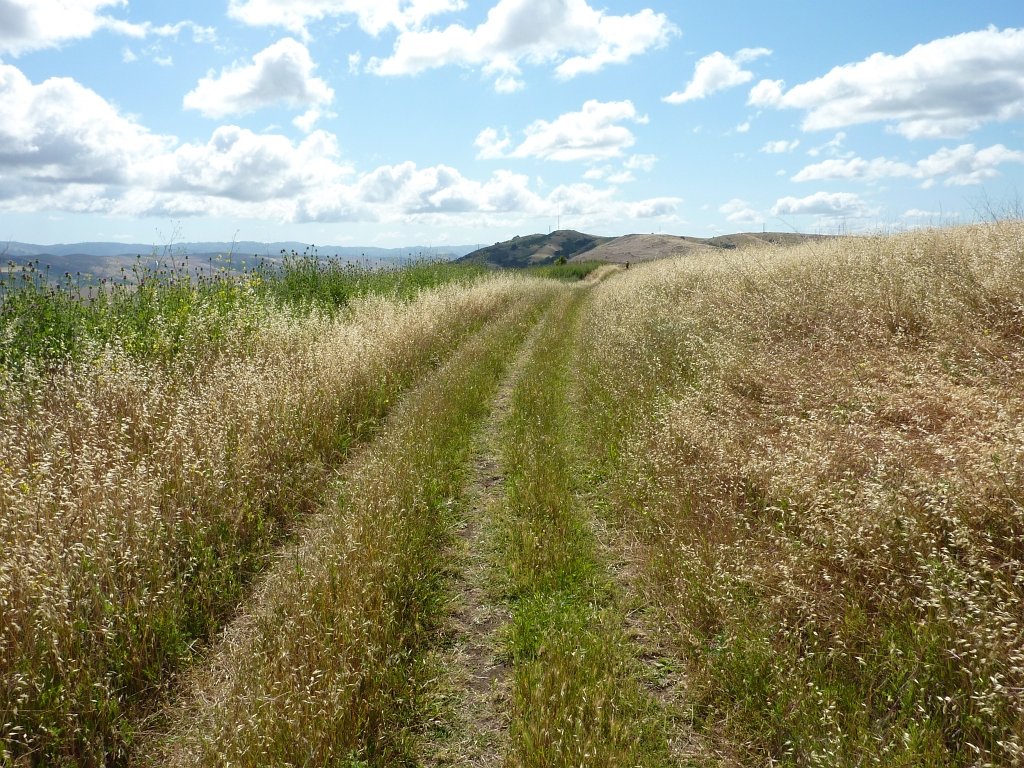 P1010636