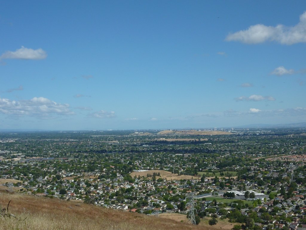 P1010641