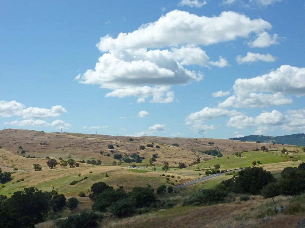P1010644