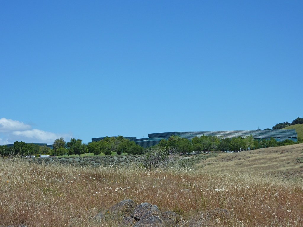 P1010655